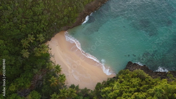 Fototapeta beautiful caribbean beach with palm trees