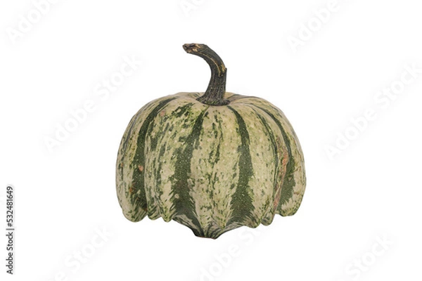 Obraz Decorative pumpkin isolated on white background