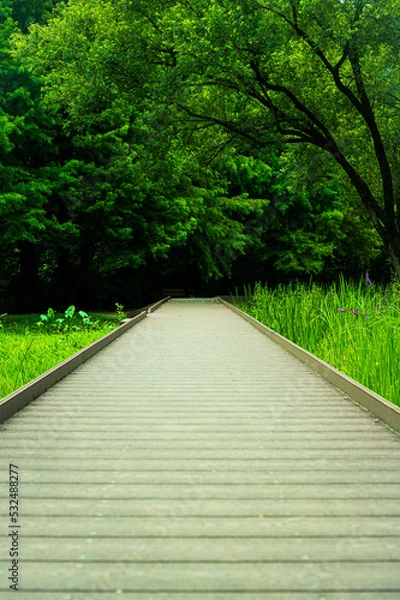 Obraz Where are we going?