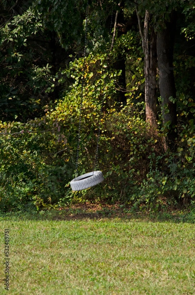 Obraz White tire swing