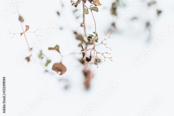 Obraz Winter Hintergrund abstrakt