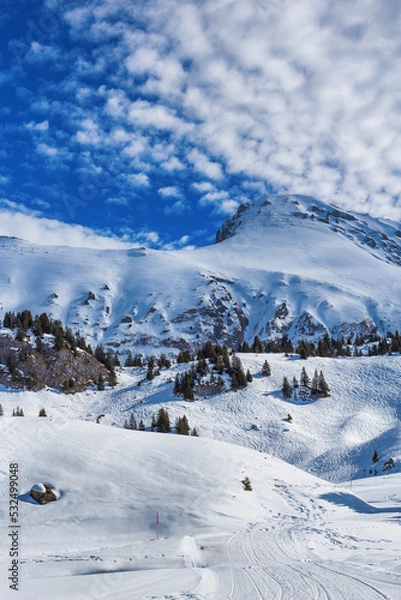 Obraz Winterlandschaft