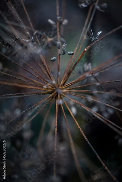 Obraz Hintergrund abstrakt