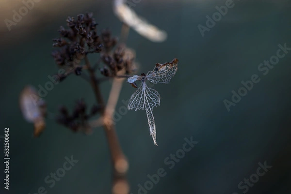 Obraz Hintergrund Winter
