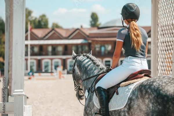 Fototapeta Show jumping horse with rider in a tournament shortly before entering the field, sharpness on the horse's mane.