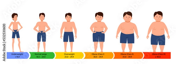 Fototapeta Categories with body mass index. male silhouettes with a thick, normal and slender figure. Flat vector infographics with people with different metabolism and weight.