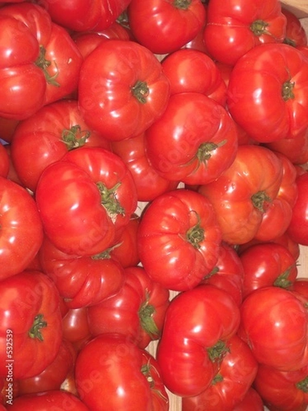Obraz tomates