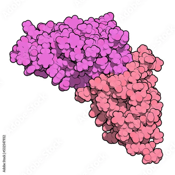 Obraz Carcinoembryonic antigen (CEA, CEACAM5, N-terminal domain). Used as tumor biomarkerin some forms of cancer. 3D rendering based on protein data bank entry 2qsq.
