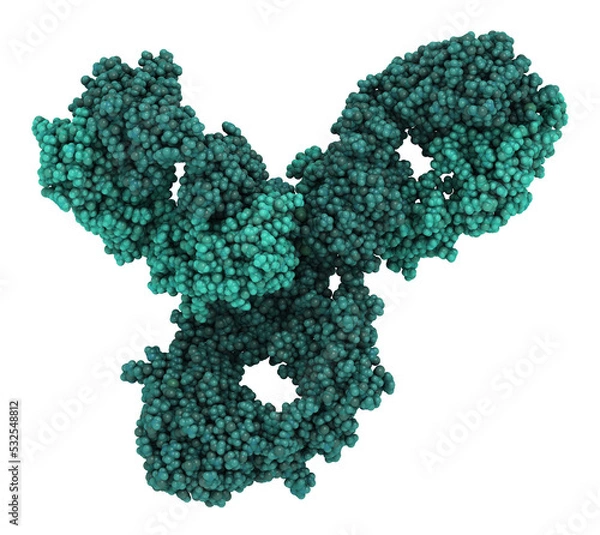 Fototapeta Pembrolizumab monoclonal antibody drug protein. Immune checkpoint inhibitor targetting PD-1, used in the treatment of a number of cancers. 3D rendering based on protein data bank entry 5dk3.