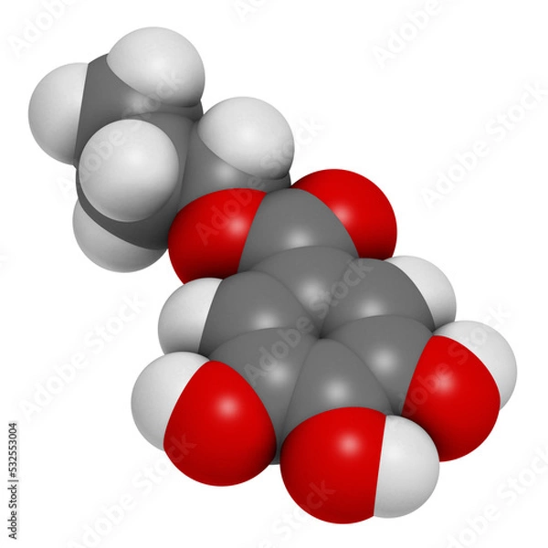 Fototapeta Propyl gallate antioxidant food additive molecule, 3D rendering.