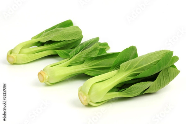 Obraz Vegetable in white background
