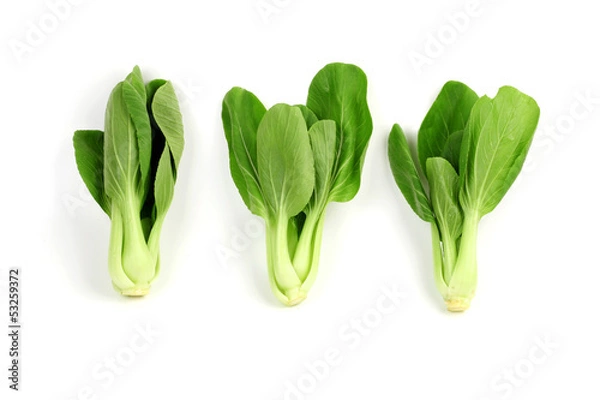 Obraz Vegetable in white background