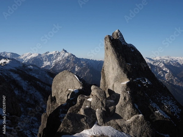 Obraz ドルフィン