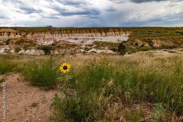Obraz Paint Mines Colorado