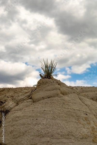 Obraz Paint Mines Colorado