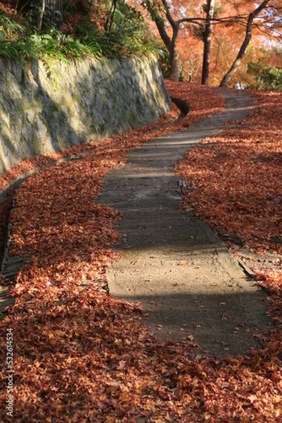 Obraz 大門寺の紅葉と石垣　大阪府茨木市