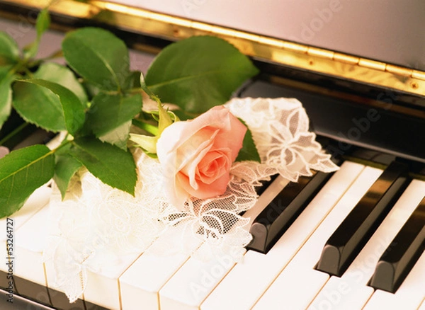 Obraz piano and rose