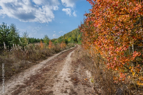 Fototapeta Autumn landscape with a road running into the distance.