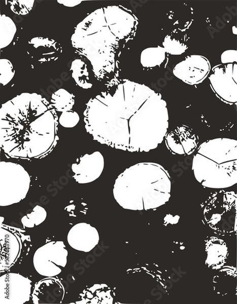 Fototapeta seamless pattern with black and white flowers ,black and white tree print pattern, home decoration ,natural black and white art
