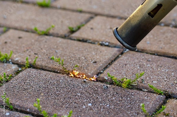 Fototapeta Unkraut verbrennen