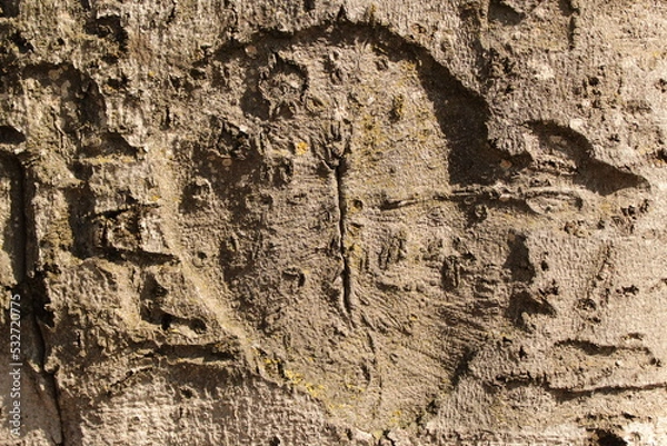 Fototapeta old wood texture