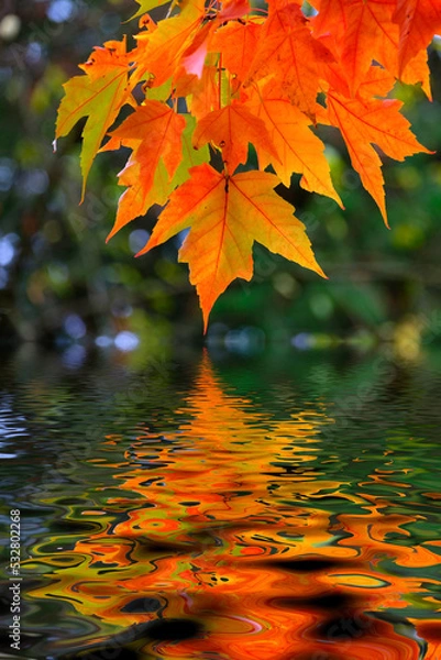 Obraz Fall Abstract 02