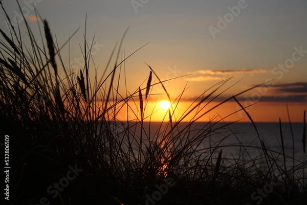 Fototapeta Sunset over the North Sea with dune grass in front on the island of Sylt/Germany