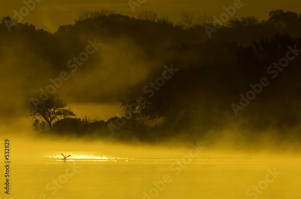 Obraz sunrise on the pond