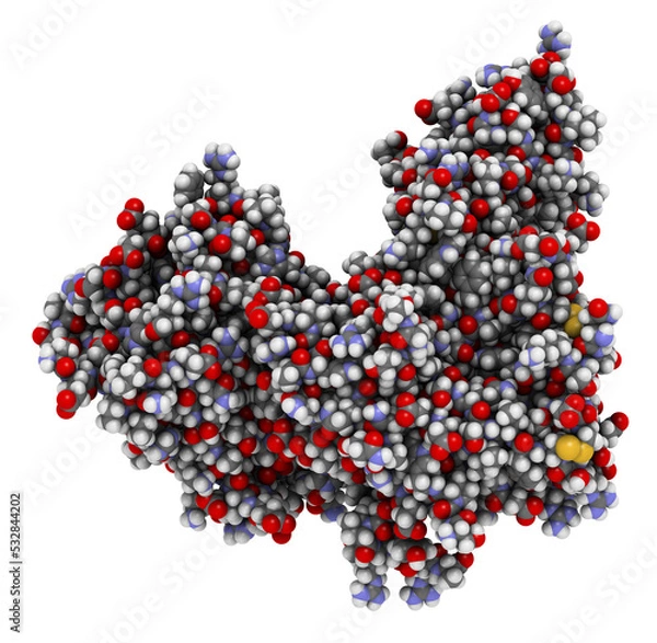 Obraz Proprotein convertase subtilisin kexin type 9 (PCSK9) protein. Target of multiple investigational cholesterol lowering drugs.
