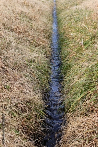Obraz small creek running between two rice fields