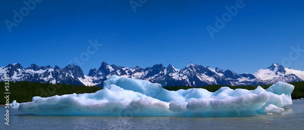Obraz growler panorama