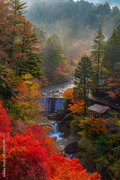 Obraz autumn in the mountains