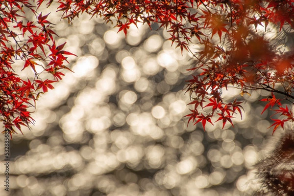 Obraz red christmas tree