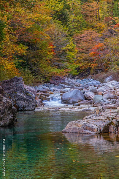 Obraz river in autumn