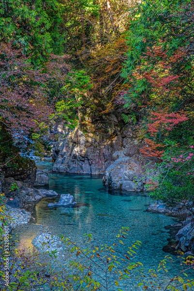 Obraz waterfall in the forest