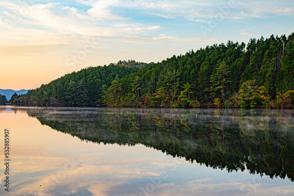 Obraz lake in the forest