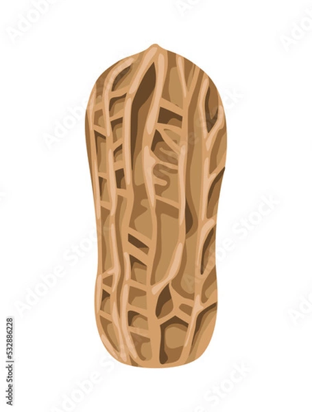 Fototapeta peanut with peel