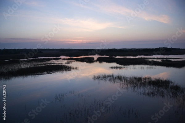 Fototapeta Sky reflecting in marsh.