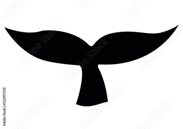 Obraz Vector de cola de ballena