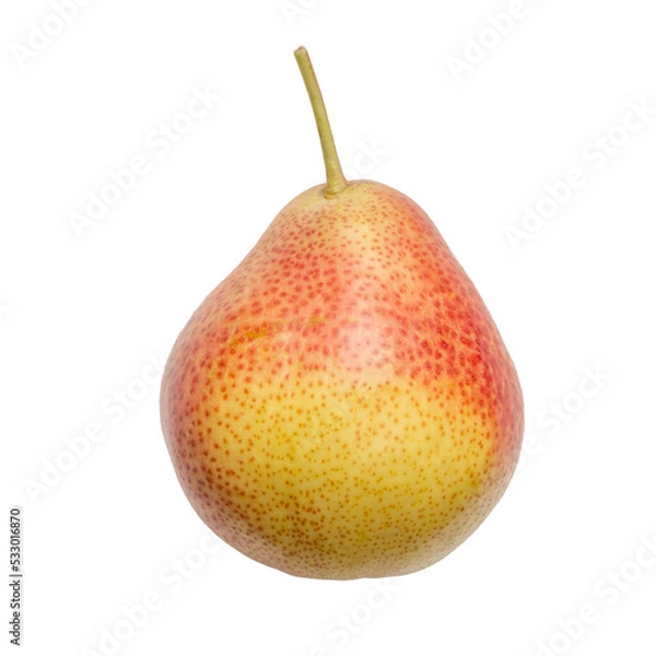 Fototapeta Pear