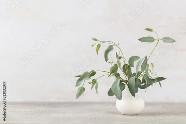 Fototapeta Green eucalyptus leaves in vase. Front view. Place for text, copy space, mockup.