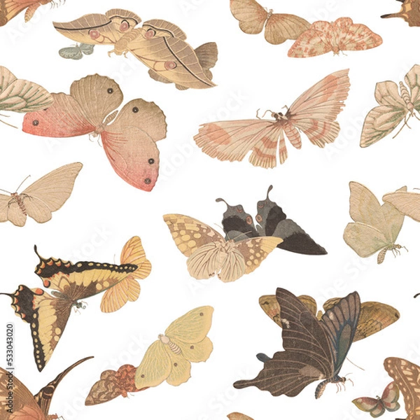 Obraz Oriental Vintage Pattern with asian traditional butterfly paintings