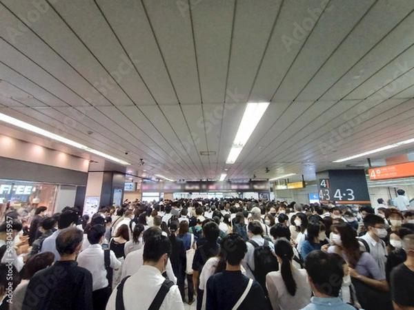 Fototapeta 混雑