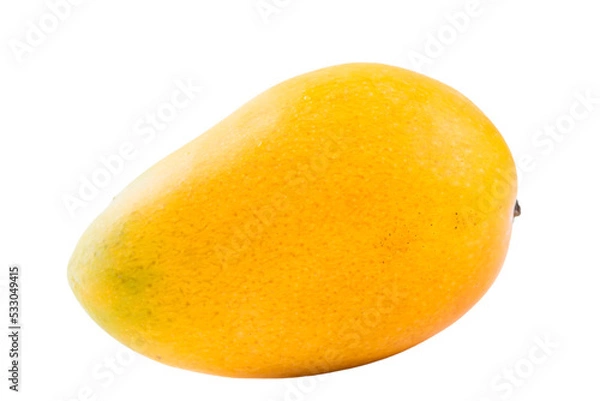 Obraz The king of fruits is mango