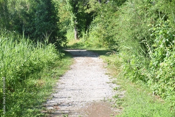 Obraz Beach sand walkway path water 