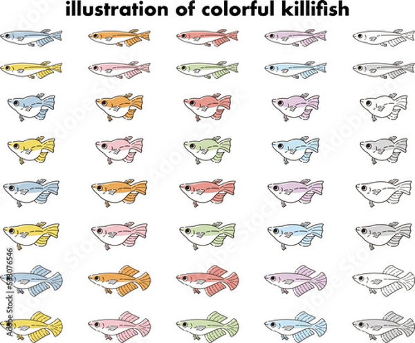 Fototapeta 様々な種類のカラフルなメダカのイラストセット