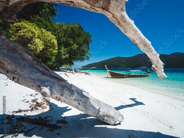Fototapeta Scenic view of Koh Ra Wi Island white sand beach, clear turquoise sea and long tail boat against summer blue sky with dead tree trunk foreground. Near Koh Lipe Island, Tarutao, Satun, Thailand.