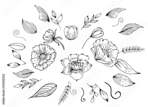 Fototapeta Set Flowers, foliage decor. Engraving in a minimalist style. Contour hand drawing. Can be used for decoration, printing on paper and fabric, as well as in the interior. Vector