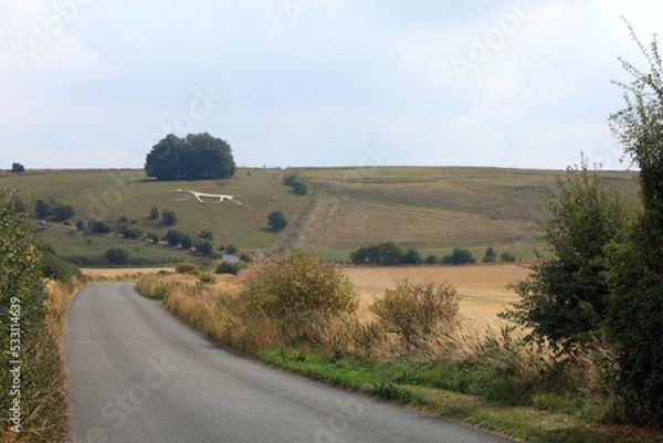 Fototapeta distant view of the Hackpen white horse.