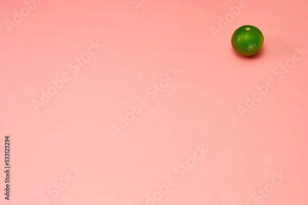 Fototapeta すだちの右上単体配置ピンク系背景あり俯瞰撮影